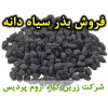 سیاه دانه, بذر سیاه دانه, فروش بذر سیاه دانه, خرید بذر سیاه دانه, قیمت بذر سیاه دانه, کاشت بذر سیاه دانه, کشت بذر سیاه دانه, زراعت بذر سیاه دانه, تولید بذر سیاه دانه, رشد بذر سیاه دانه, سبز شدن بذر سیاه دانه, بذرگیری از سیاه دانه