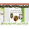 کور, پاورپوینت گیاه کور, ارائه گیاه کور, دانلود پاورپوینت گیاه کور, اسلاید گیاه کور برای ارائه در کلاس, گیاه کور,کبر, لگجی, هندوانه کوهی, علف مار, داغ قارپوزی, کاپاریس, قبار, کبار, گیاه شناسی گیاه کور, نیازهای اکولوژی گیاه کور, آفات و بیماری های گیاه کور,