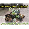 نهال کور, نهال لگجی, نهال هندوانه کوهی, نهال داغ قارپوزی, کاشت, زراعت, خرید, فروش,کاربرد دارویی کور, کاربرد دارویی لگجی, برداشت, فرآوری, بسته بندی, صادرات, ترشی, بهره برداری اقتصادی