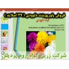 داوودی, گل داوودی, پاورپوینت داوودی, گل زینتی, ارائه داوودی, دانلود پاورپوینت داوودی, اسلاید داوودی برای ارائه در کلاس, گیاهشناسی داوودی, رقم های داوودی, ویژگی‌های گل داوودی, کاربرد تجاری داوودی, واکنش به طول روز,کاشت داوودی, بستر داوودی, تکثیر داوودی, تک