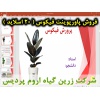 فیکوس, گیاه فیکوس, گل و گیاه زینتی, پاورپوینت فیکوس, ارائه فیکوس, دانلود پاورپوینت فیکوس, اسلاید فیکوس  برای ارائه در کلاس, گیاه شناسی فیکوس, اسم علمی فیکوس, اسم انگلیسی فیکوس, خانواده فیکوس, گیاه شناسی فیکوس, زادگاه گیاه فیکوس, شرایط نگه داری فیکوس الاست