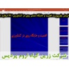 روی, عنصر روی, پاورپوینت اهمیت و جایگاه عنصر روی در کشاورزی, ارائه اهمیت و جایگاه عنصر روی در کشاورزی, دانلود پاورپوینت اهمیت و جایگاه عنصر روی در کشاورزی, اسلاید اهمیت و جایگاه عنصر روی در کشاورزی برای ارائه در کلاس, اهمیت و جایگاه روی در کشاورزی, علائم 