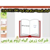 برنج چهار کربنه C4, پاورپوینت برنج چهار کربنه, ارائه برنج چهار کربنه, دانلود پاورپوینت برنج چهار کربنه, اسلاید برنج چهار کربنه برای ارائه در کلاس, گیاه شناسی برنج, ساختار کلی برگ برنج , بخش های اصلی برگ برنج , نیام برگ برنج, زبانک برگ برنج, تیغه برگ برنج,
