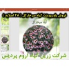 سرخارگل, پاورپوینت سرخارگل, ارائه سرخارگل, دانلود پاورپوینت سرخارگل, اسلاید سرخارگل برای ارائه در کلاس, گیاه سرخارگل, مشخصات گیاه سرخارگل, نیازهای اکولوژیکی سرخارگل, نیاز دمایی سرخارگل, نیاز آبی سرخارگل, خاک مناسب برای کاشت سرخارگل, تناوب کشت سرخارگل, موا