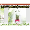 آویشن باغی, پاورپوینت آویشن باغی, ارائه آویشن باغی, دانلود پاورپوینت آویشن باغی, اسلاید آویشن باغی برای ارائه در کلاس, نام انگلیسی آویشن باغی, نام علمی آویشن باغی, خانواده آویشن باغی, مشخصات گیاه شناسی آویشن باغی, نیاز های اکولوژیکی آویشن باغی, ترکیبات شی