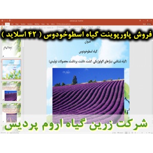 اسطوخودوس, پاورپوینت اسطوخودوس, ارائه اسطوخودوس, دانلود پاورپوینت اسطوخودوس, اسلاید اسطوخودوس  برای ارائه در کلاس, گیاه اسطوخودوس, اسطوخودوس فرانسوی, اسطوخودوس حقیقی, نام انگلیسی گیاه اسطوخودوس, نام علمی گیاه اسطوخودوس, خانواده گیاه اسطوخودوس, تاریخچه گیا